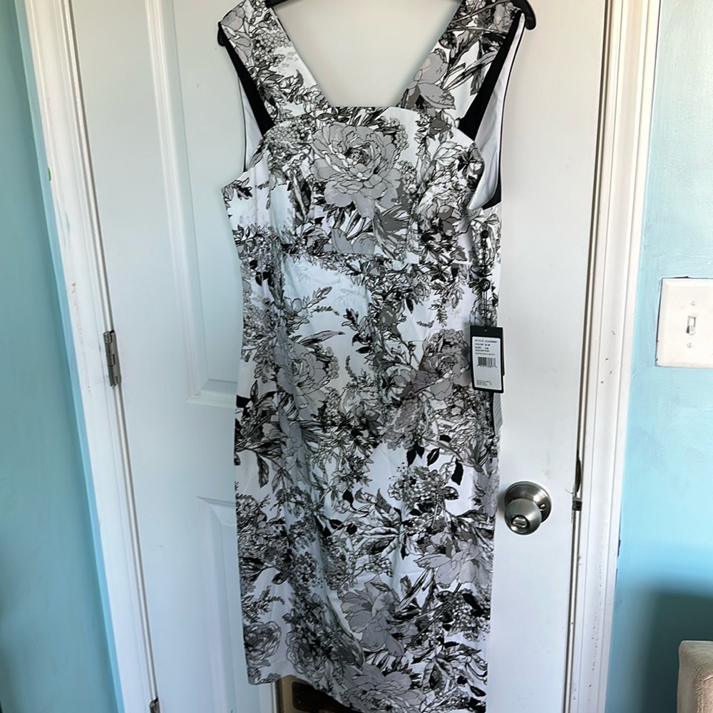 Adrianna papell dress